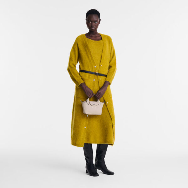 Le Pliage Xtra XS Handbag
