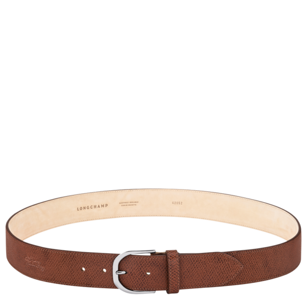 06429AD6-673A-D718-A9F1-2CEA4C65B52F-1 Le Pliage Original Men's belt