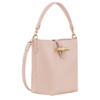 15E240AE-B875-F888-39C2-E5EB219106F3 Le Roseau XS Bucket bag