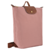 1D3504B7-F252-91F4-3608-C800AEC3EFC5 Le Pliage Original M Backpack
