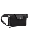 294C423E-C62B-F71F-D9D5-449ADC04F96A Le Pliage Energy M Belt bag