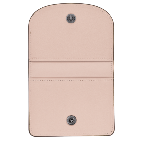 36A46D16-8B7F-FF70-9F57-12B4F2B7729C Le Pliage Xtra Card holder