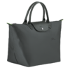 38E6C716-17DB-6FF2-95A5-1346C81C73B1 Le Pliage Green M Handbag