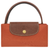 Le Pliage Original S Handbag