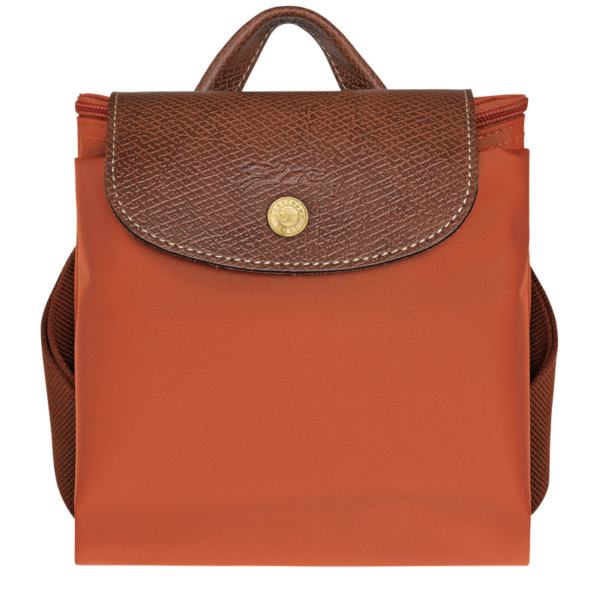 5B45DEDB-FD8A-921F-4E45-96973BD769B9 Le Pliage Original M Backpack