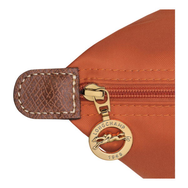 6E096B8E-A80A-3143-73FB-2C36CD27C85C Le Pliage Original L Tote bag