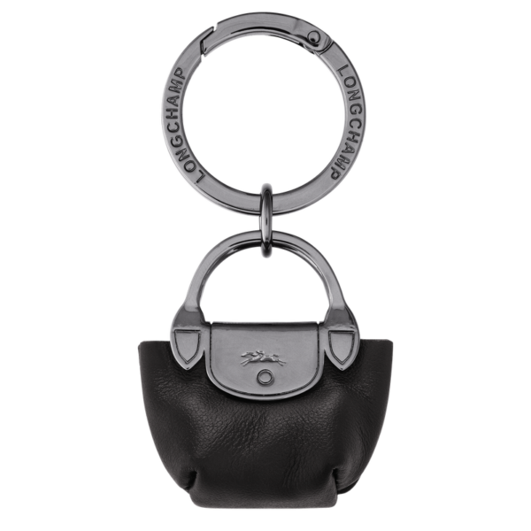 8330C376-054F-1BAA-5ACC-F05149C08E2D Le Pliage Xtra Key ring