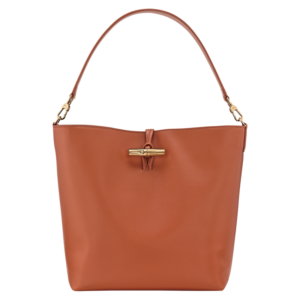 Le Roseau M Hobo bag