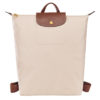 8BA4CDAD-504D-1499-A88A-984F53AF53E4 Le Pliage Original M Backpack