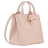 94A7641D-DB60-B8BF-5B24-A9C5B5C19C21 Le Roseau S Handbag