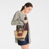 9E2E6A20-A471-6956-7E5D-6176182267C1 Le Pliage Collection XS Basket bag