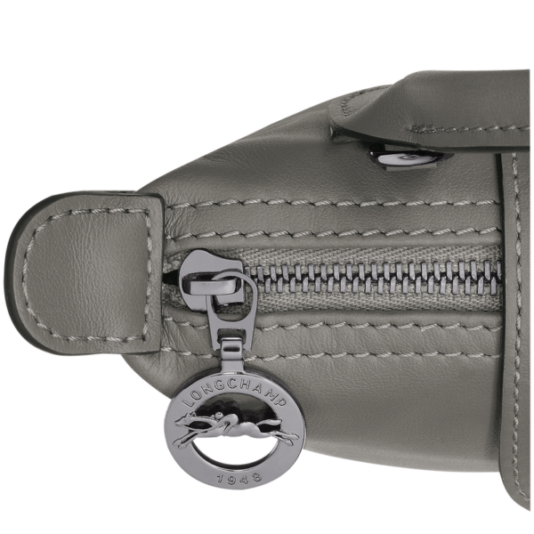9E59916E-77DA-FE1D-4886-04033BB9F16A_8c620670-4032-4d7a-a1aa-cdfc6c5d8fb4 Le Pliage Xtra XS Pouch