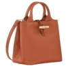 C35544AA-B438-F8E6-B70A-7421CC56B760 Le Roseau S Handbag