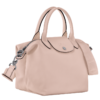 DDE2F663-26AF-0824-0D91-2620C57A5C5C-2 Le Pliage Xtra S Handbag