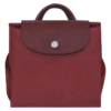 DFB9B71E-3868-E7B1-89E0-DBD8C948FEFC Le Pliage Green M Backpack