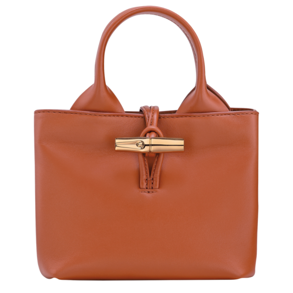 Le Roseau XS Handbag
