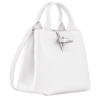 F836C881-A1B6-6C4A-E9B0-DE406D8C6291 Le Roseau S Handbag