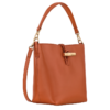 Le Roseau XS Bucket bag